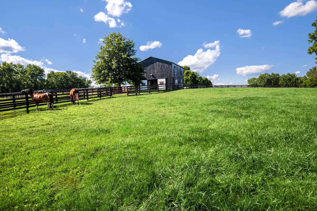 650 Delaney Ferry Road, Versailles, KY 40383 - #1