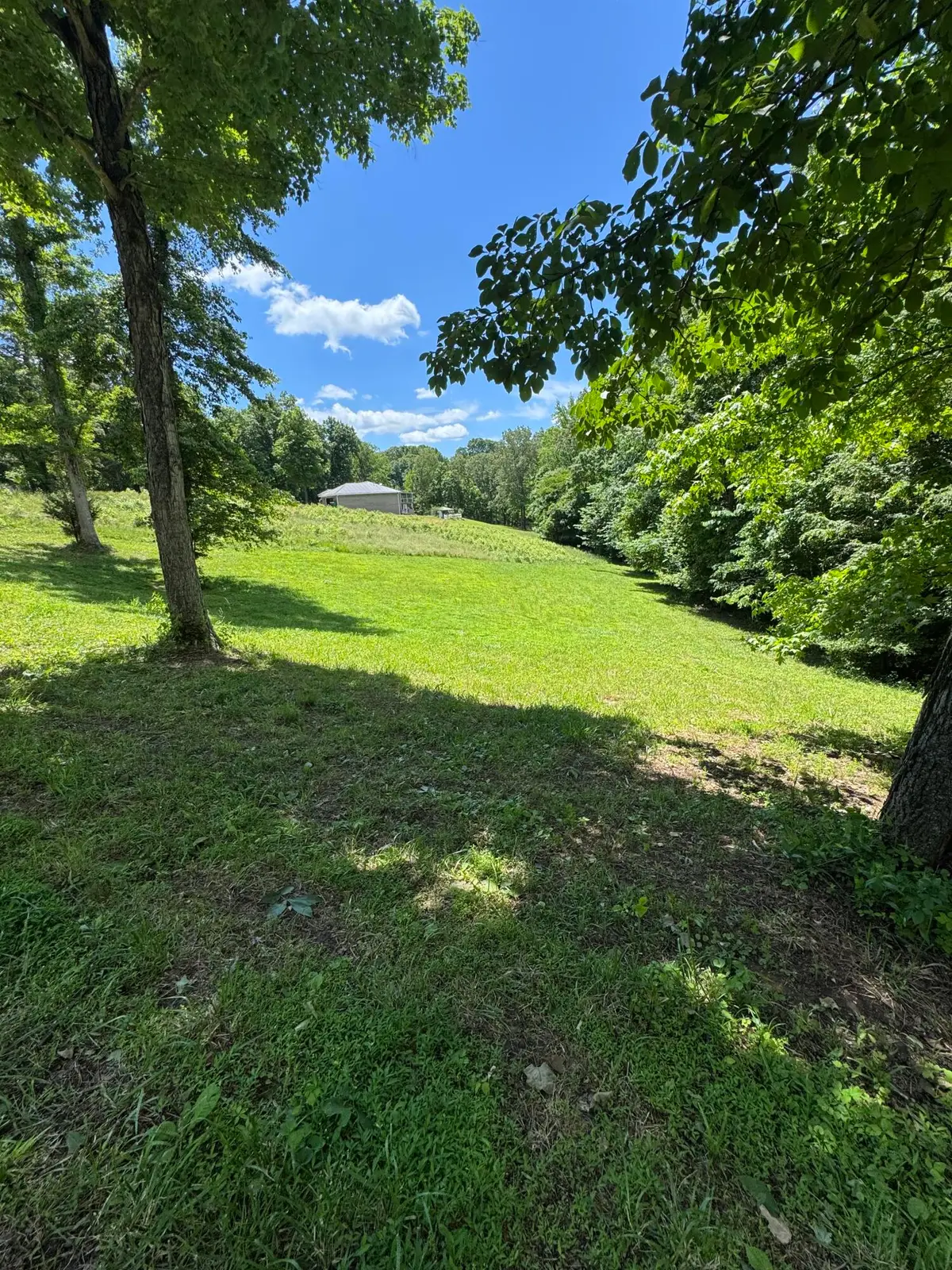 Lot #35 E Cobblestone Ct, Kuttawa, KY 42055 - #1