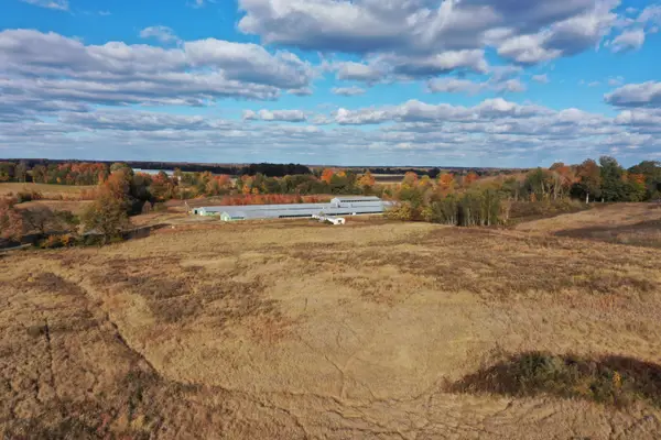 0 Grubbs Road, Clinton, KY 42031
