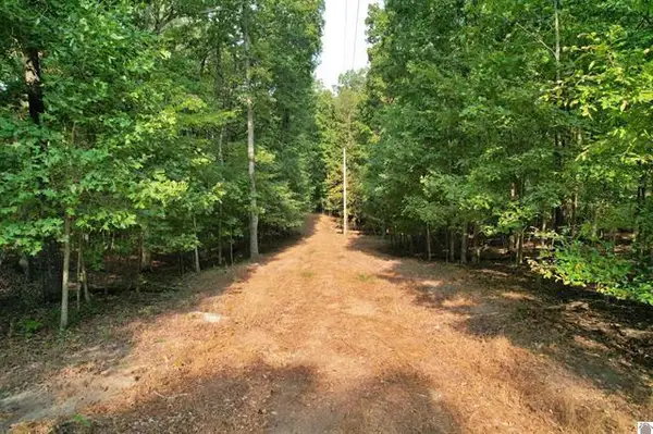 1137 Steamboat Road, Gilbertsville, KY 42044