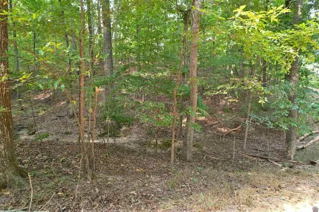 1137 Steamboat Road, Gilbertsville, KY 42044 - #2