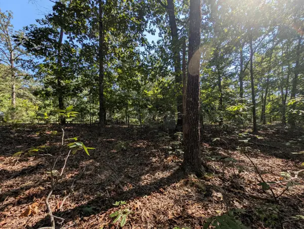 130 Lot 130 Eagle Look Ln Lane, Murray, KY 42071