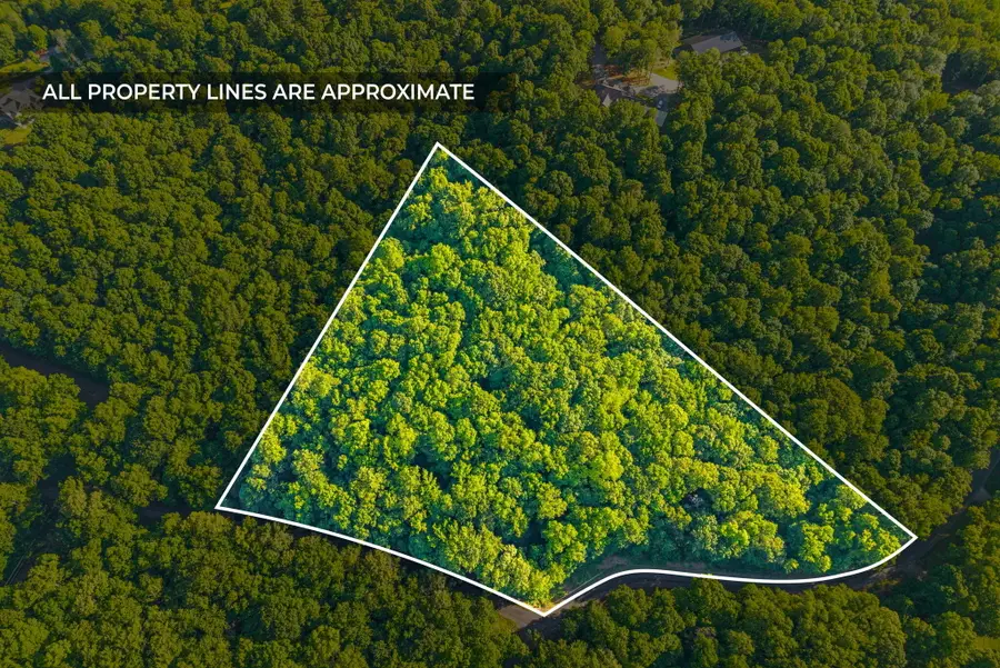 Lot 87 Periwinkle Hill Road, Cadiz, KY 42211 - #2