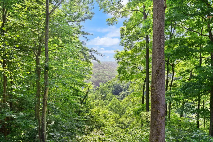 529 Cliffside Drive, Russell Springs, KY 42642 - #3