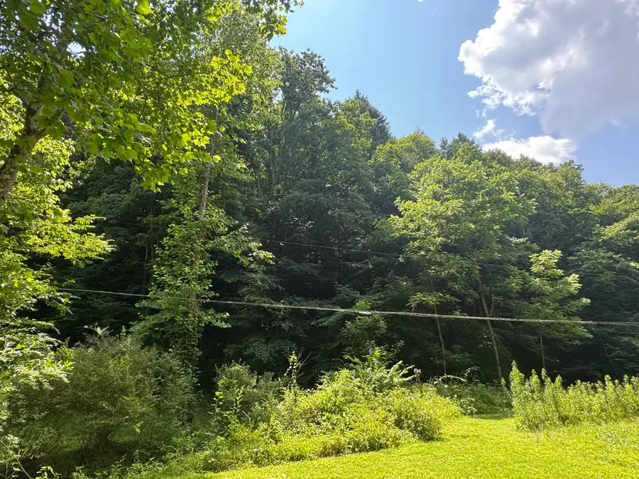 464 Big Branch Road, Jackson, KY 41339 - #2