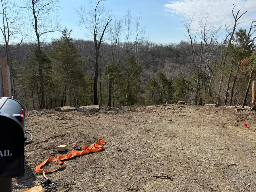 491 Peach Tree Lane, Russell Springs, KY 42642 - #2