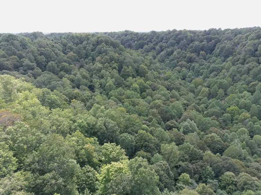 1803 Fisher Creek Road, Lebanon, KY 40033 - #2