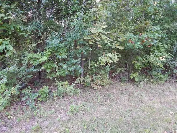 Lot 45 Forest Lane, Eddyville, KY 42038