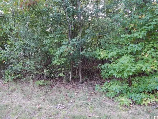 Lot 45 Forest Lane, Eddyville, KY 42038 - #3