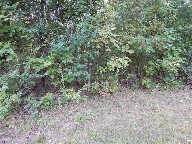 Lot 44 Forest Lane, Eddyville, KY 42038 - #1