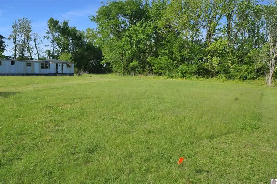 222 Almo Road, Almo, KY 42020 - #3