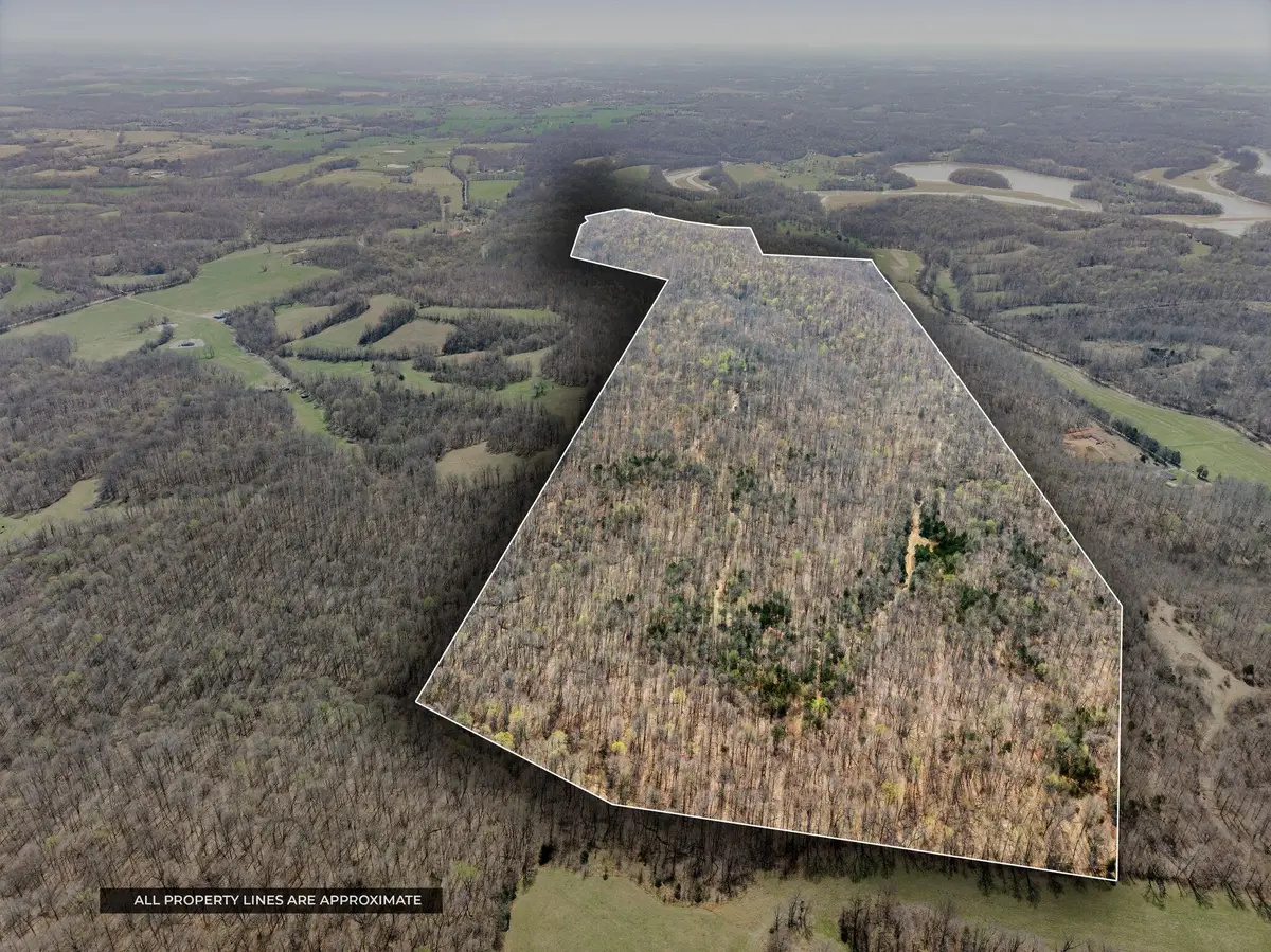 4220 4220 Will Jackson Rd Road, Cadiz, KY 42211 - #1