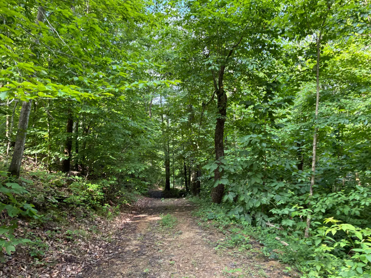 7466 Hawkins Branch Road, Frenchburg, KY 40322 - #1