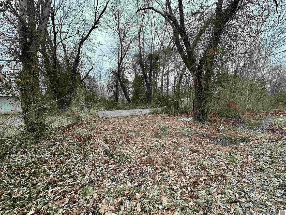 000 W First Street, Gilbertsville, KY 42044 - #1