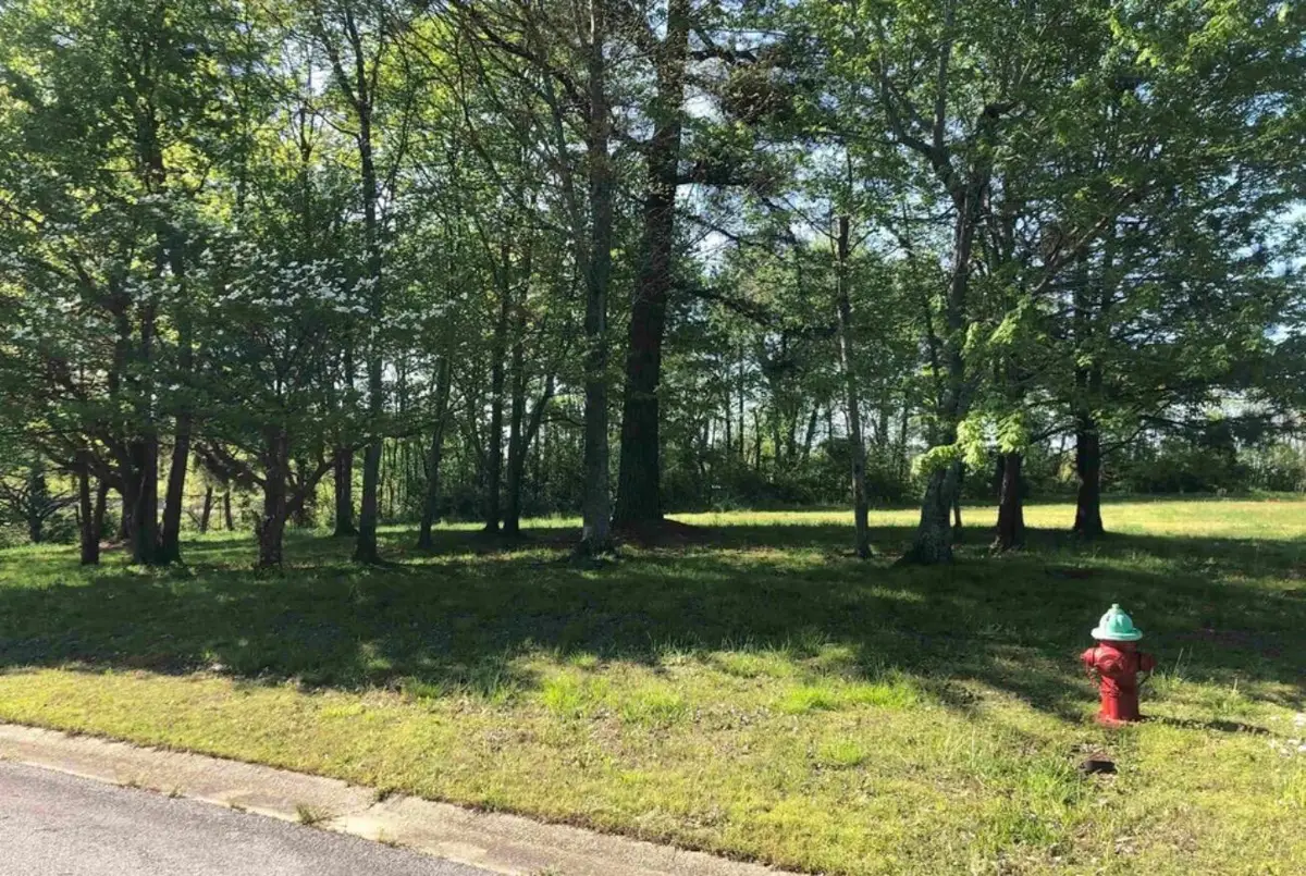 1259 Links Lane, Mayfield, KY 42066 - #1