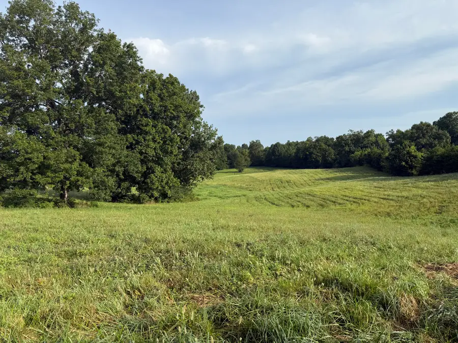 10.42 Acres Devils Hollow Road, Frankfort, KY 40601 - #3