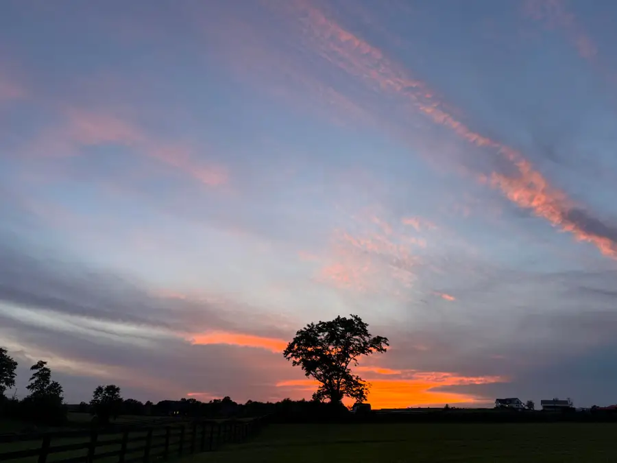 136 Lloyd Road #LOT 8, Georgetown, KY 40324 - #3