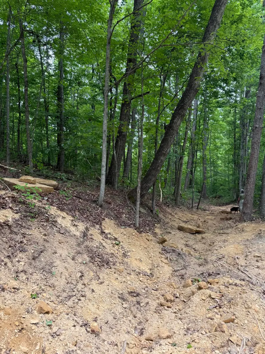 Lot 167 Ashland Camp Loop, Beattyville, KY 41311 - #2