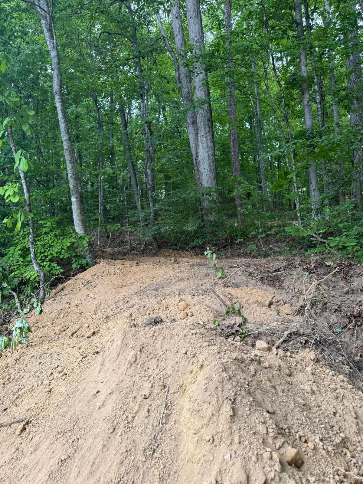 Lot 166 Ashland Camp Loop, Beattyville, KY 41311 - #1