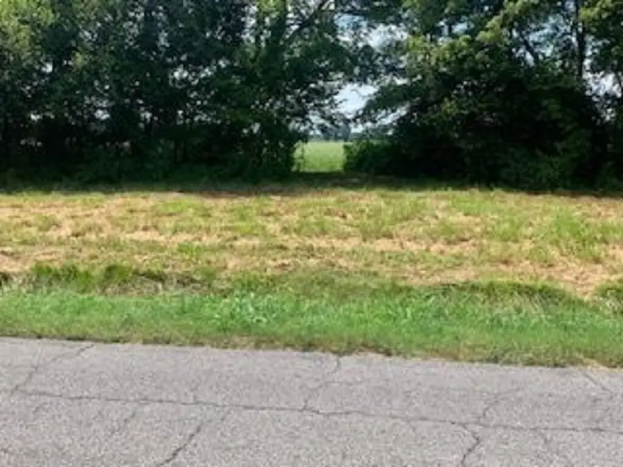 473 Needmore Road, La Center, KY 42056 - #3