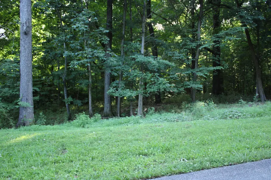 Lot #73 & #74 Rolling Mill Road, Eddyville, KY 42038 - #3