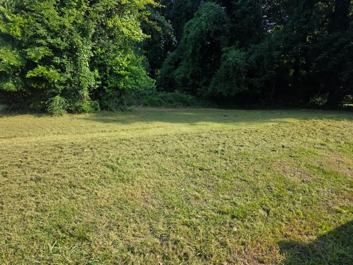 1317 S 9th Street, Paducah, KY 42003 - #1