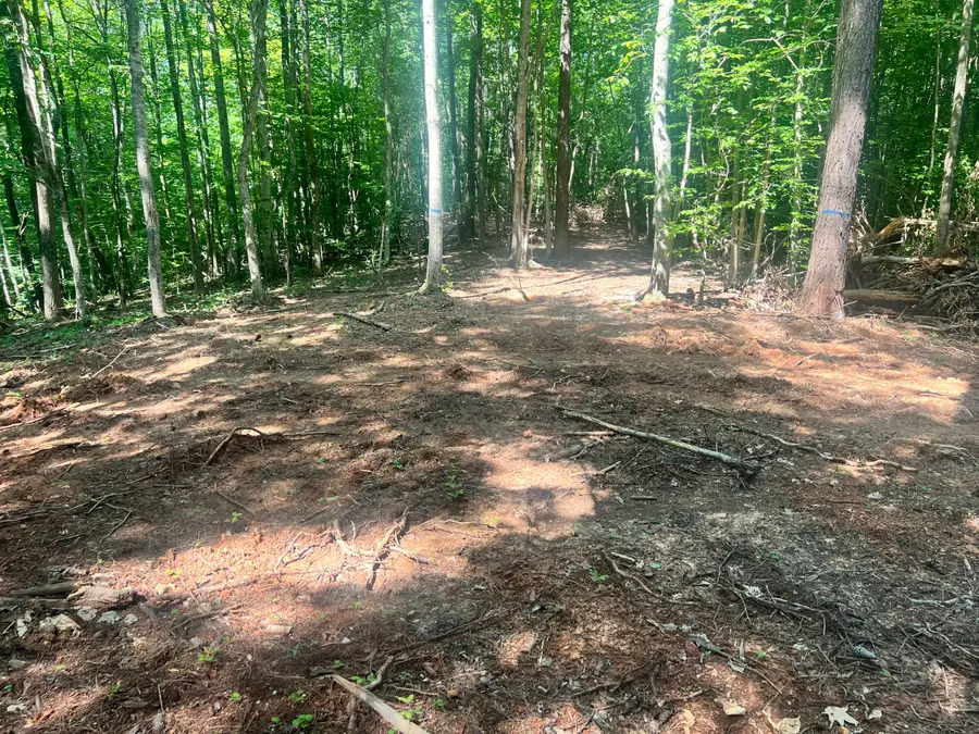 0000 State Highway 1546, Monticello, KY 42633 - #3