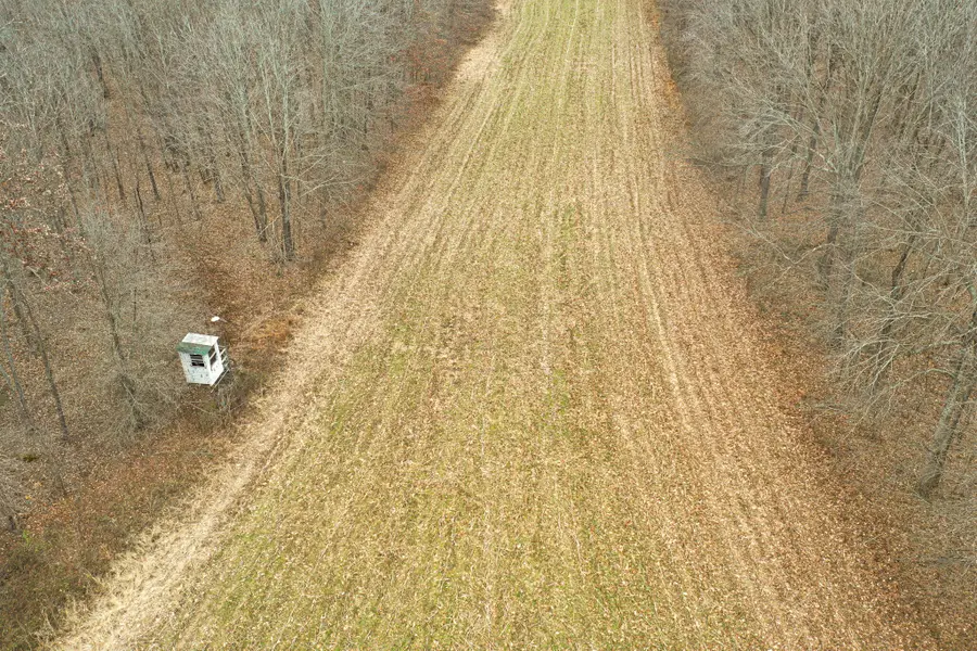 1385 Mayes Lane, Paducah, KY 42003 - #3