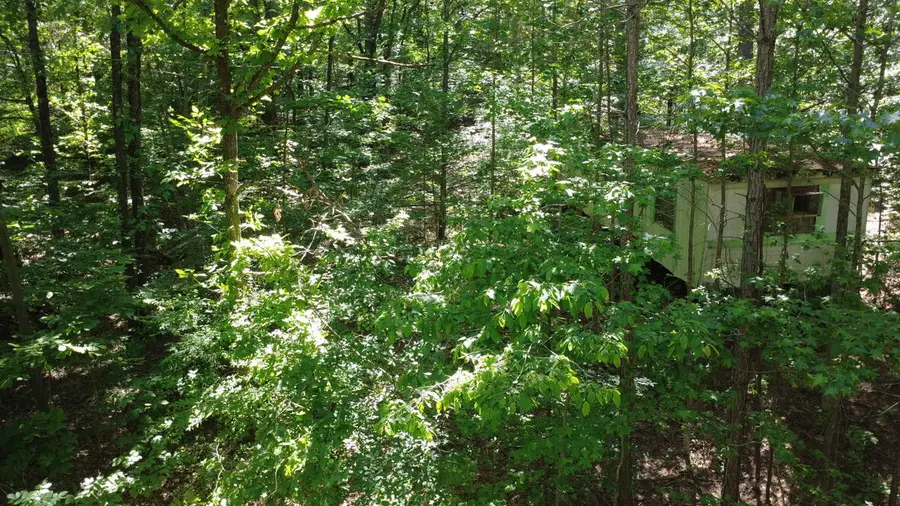 274 Sun Valley Rd Road, Murray, KY 42071 - #2