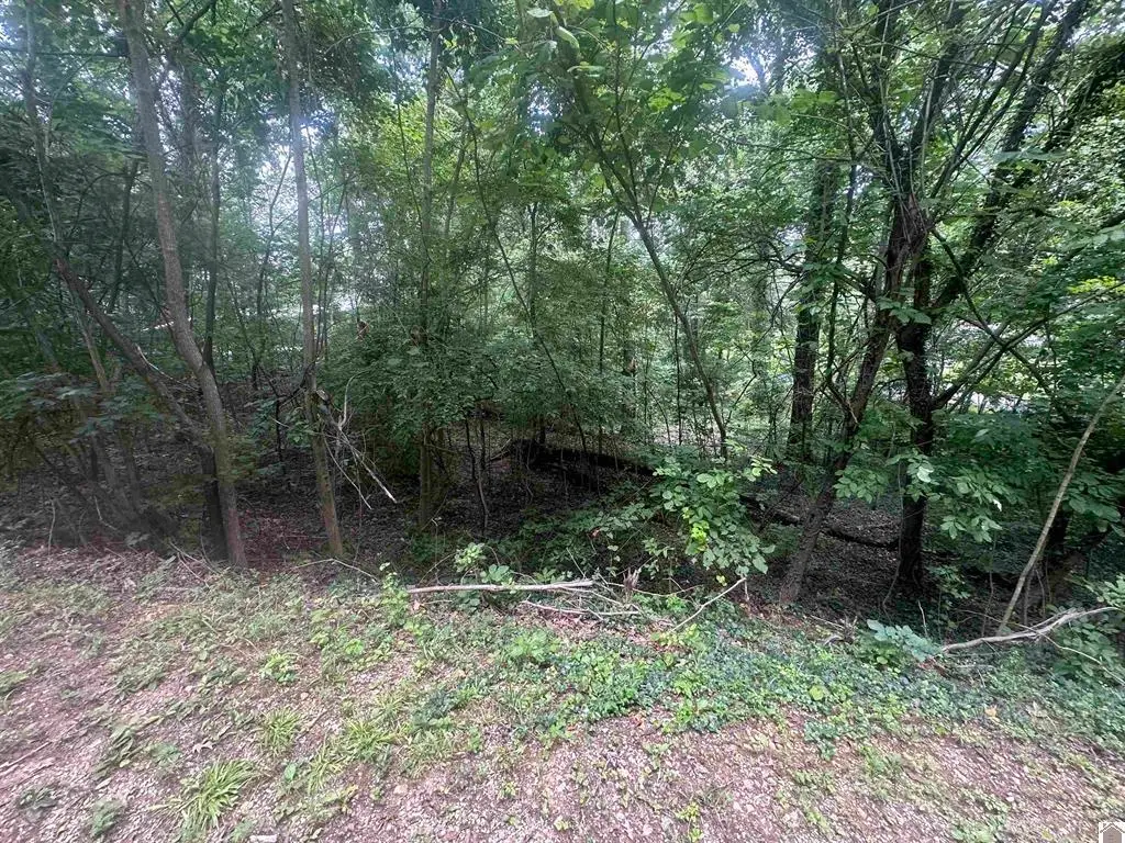 715 Country Hills Drive #Lot 15, Eddyville, KY 42038 - #1