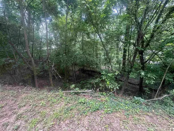 715 Country Hills Drive #Lot 15, Eddyville, KY 42038