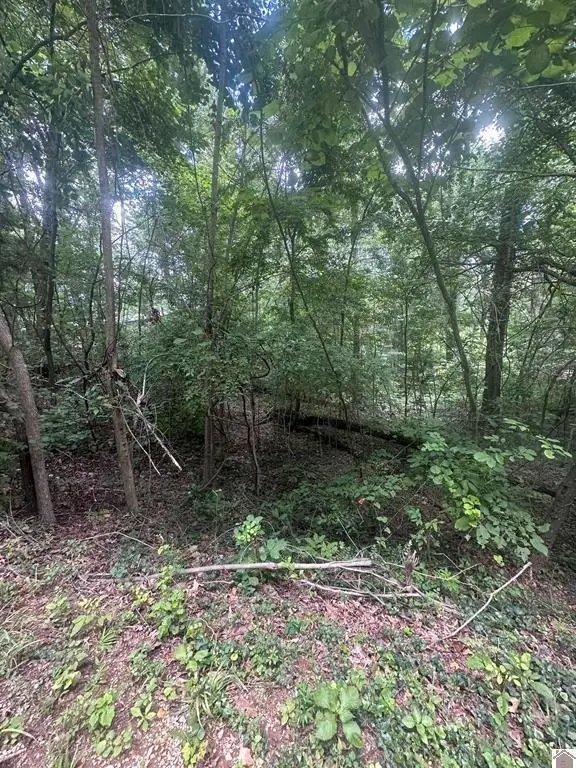 714 Country Hills Drive, Eddyville, KY 42038 - #1