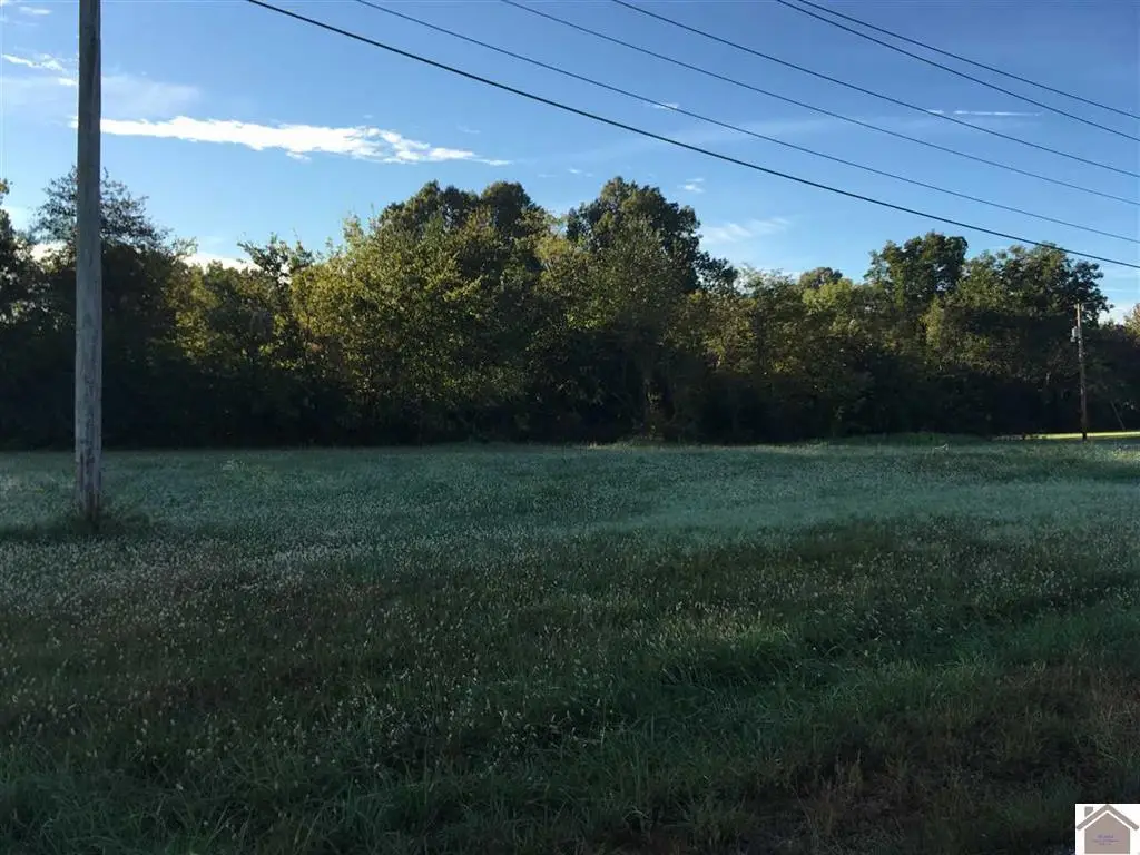 6 Tract# Access Rd Road, Benton, KY 42025 - #1