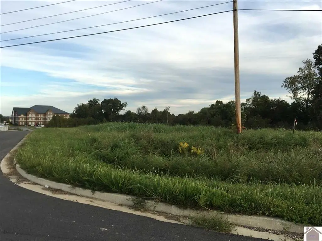 7 Tract# Access Rd Road, Benton, KY 42025 - #1