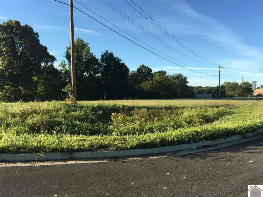 7 Tract# Access Rd Road, Benton, KY 42025 - #2