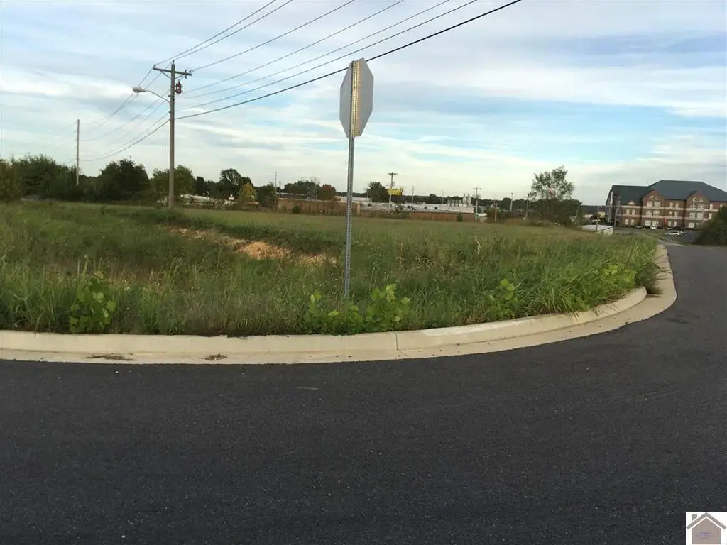 8 Tract# Access Rd Road, Benton, KY 42025 - #1