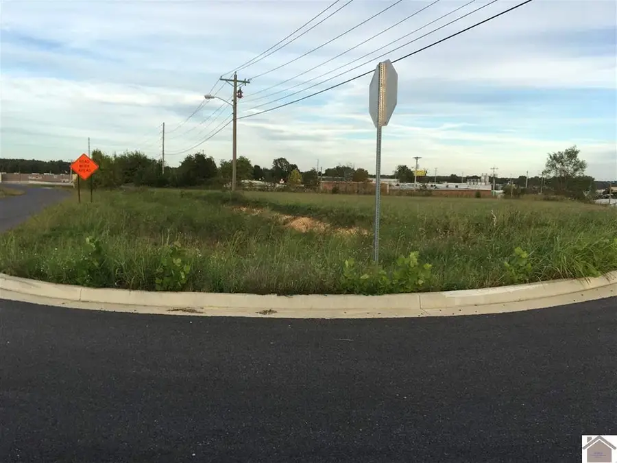 8 Tract# Access Rd Road, Benton, KY 42025 - #2