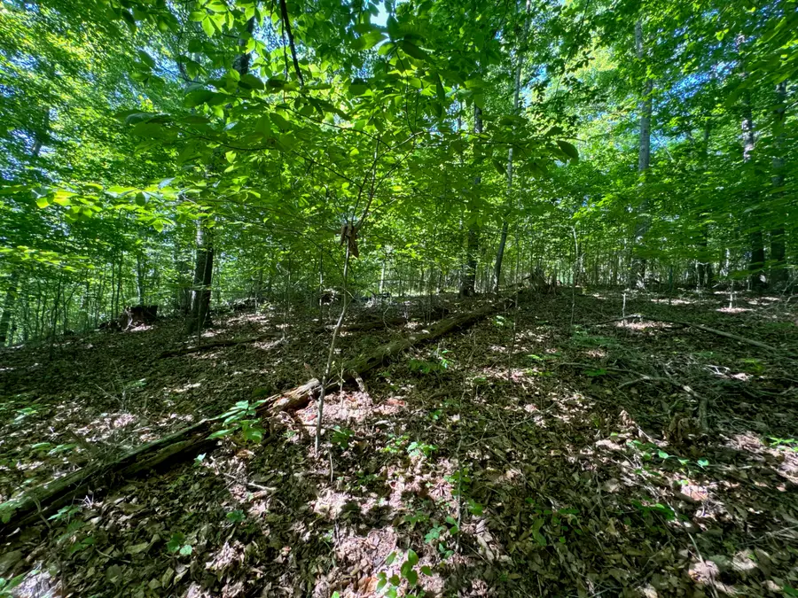 4 Village Court, Russell Springs, KY 42642 - #3