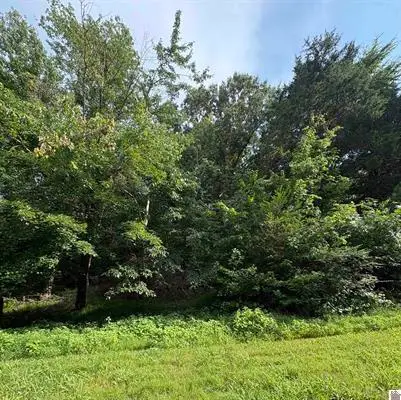 157 Deepwood Drive, Murray, KY 42071 - #1