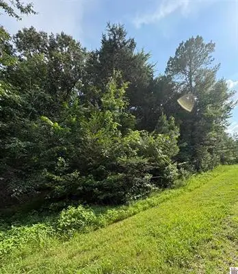 157 Deepwood Drive, Murray, KY 42071 - #2