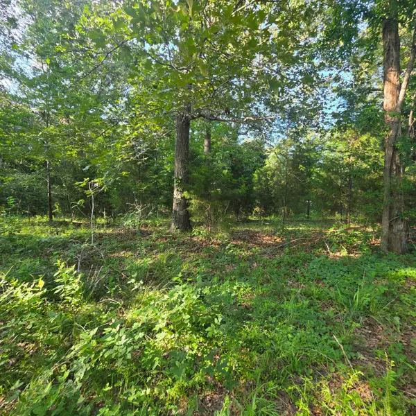 144/145 Valhalla Lane, Benton, KY 42025