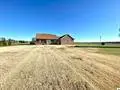 270 Mckenna Drive, Kevil, KY 42053 - #3