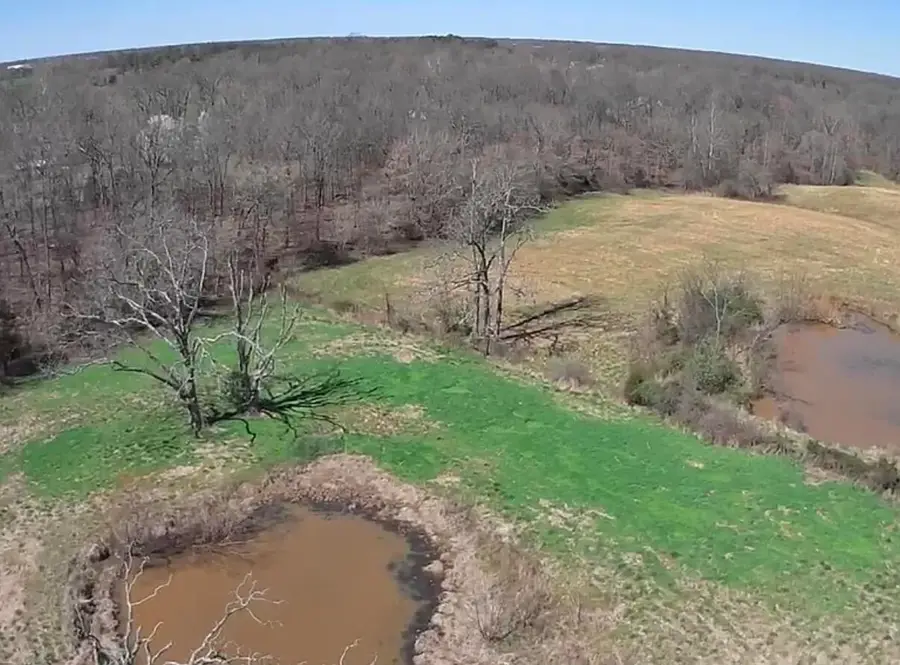 2224 Golo Road, Mayfield, KY 42066 - #3