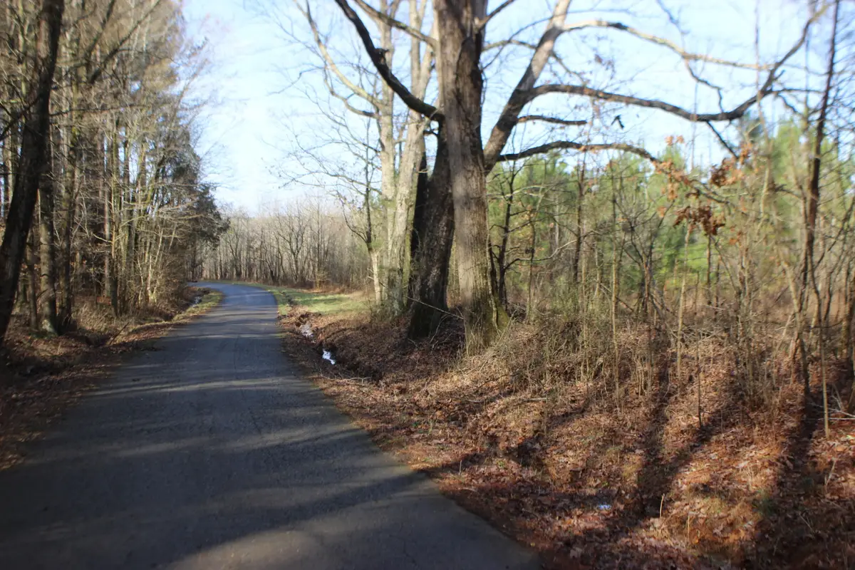 0 Blackburn Church Road, Marion, KY 42064 - #1