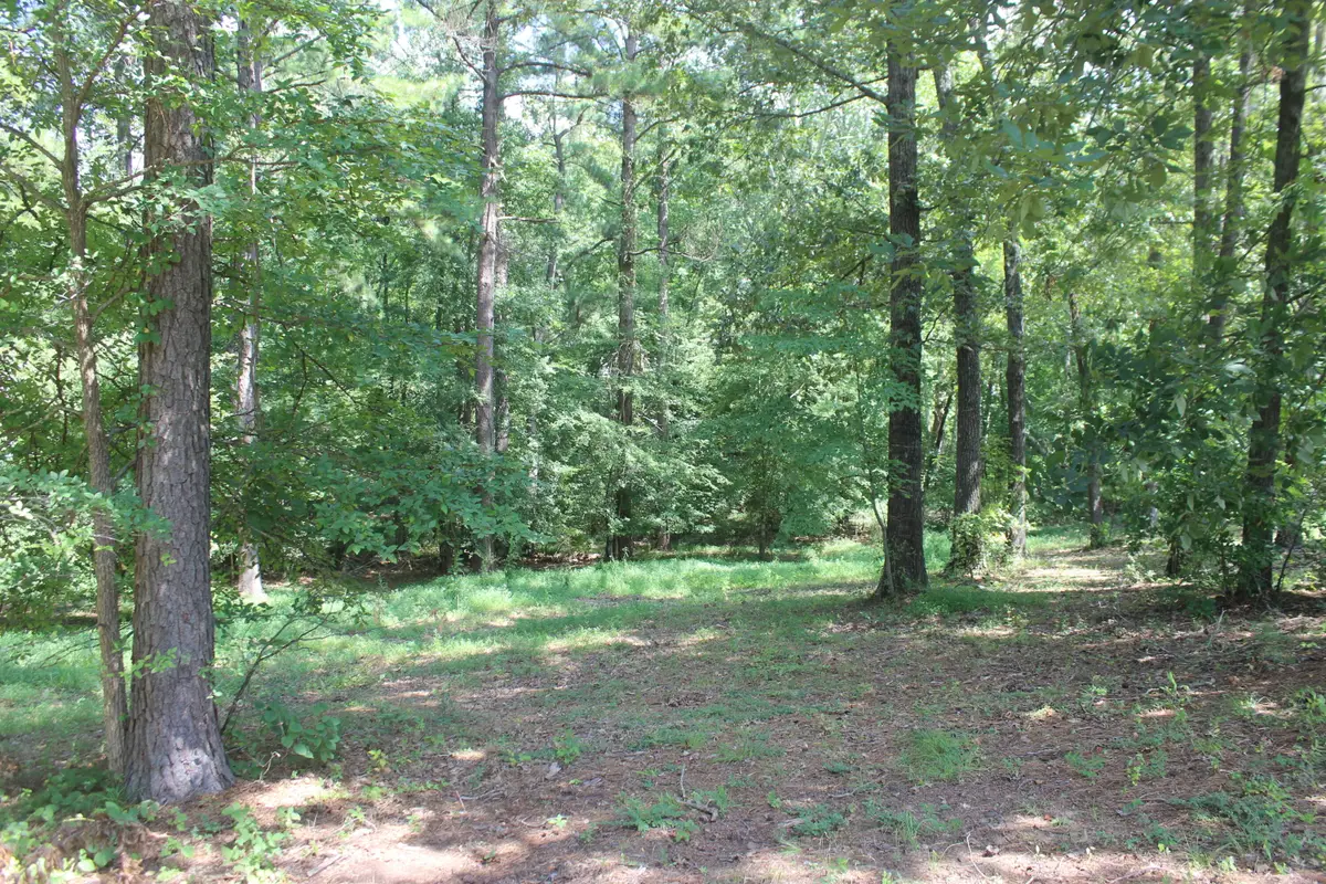 15 Harborview Lane, Benton, KY 42025 - #1