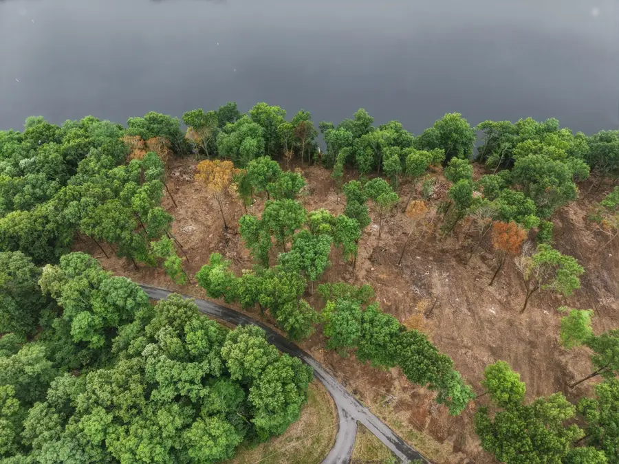 Lot 10 Elwood Rd, Eddyville, KY 42038 - #3