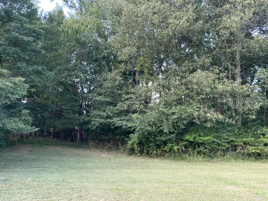 Lot 39 Saddle Creek Subdivision, Murray, KY 42071 - #2