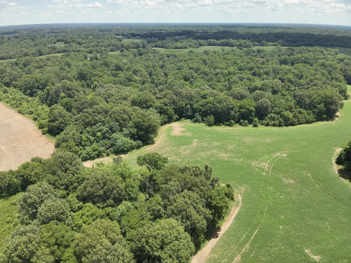 00  Hwy 1591, Bardwell, KY 42023 - #1
