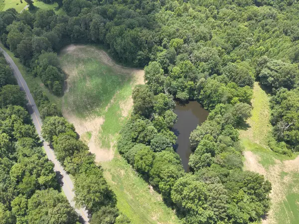 000 Hwy 1591 (south Tract), Bardwell, KY 42023