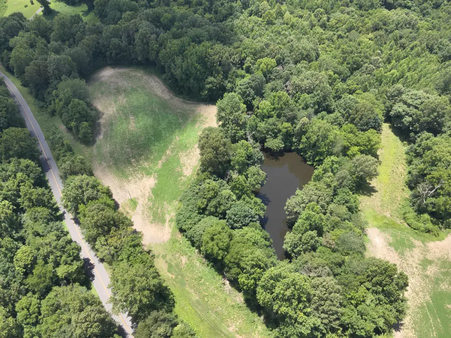 000   Hwy 1591 (south Tract), Bardwell, KY 42023 - #2